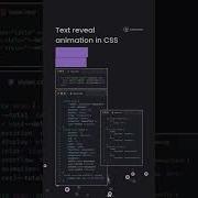 CSS Text Reveal Animation CSS Effects