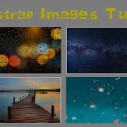Bootstrap Images Tutorial Using Bootstrap Framework