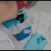 Seeding Cells In 3D CoSeedis Tutorial