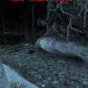 CoD4 Alpha X Mod