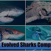 Maneater All Biggest Evolved Sharks Gameplay Comparison Fully Maxed Out