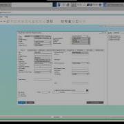User Defined Fields In Enterpryze And SAP Business One