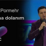 Ali Pormehr Başına Dolanım