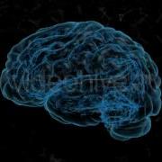 Plexus Brain Rotation 05