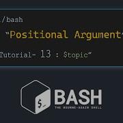 Positional Arguments In BASH Introduction To BASH Scripting Tutorial 13