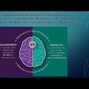 Brain Fog And Memory Loss In Menopause