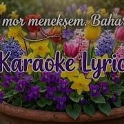 Açıl Mor Menevşem Bahar Erişti Karaoke