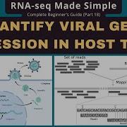 Quantify Viral Gene Expression In RNA Seq STAR FeatureCounts