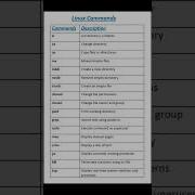Linux Commands Essential Linux Commands Every Beginner Should Know
