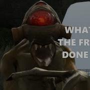 Sticky Bugbait Half Life 2 Facts 163 179