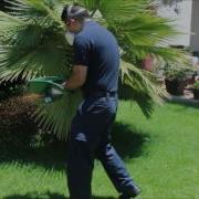 Procsa Control De Plagas