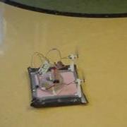 Hovercraft Prototype