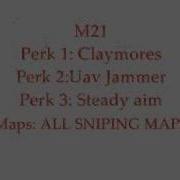 Call Of Duty 4 Weapon And Perk Combos
