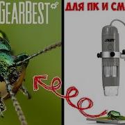ЦИФРОВОЙ МИКРОСКОП 500X 5MP ДЛЯ ПК И СМАРТФОНА СОБИРАЕМ ПОДКЛЮЧАЕМ И СМОТРИМ GEARBEST