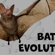 Why Bats Are The Only Mammals That Can Truly Fly