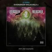 Lil Poppa Bankrolls Groupie Hoes Feat Stunna 4 Vegas Evergreen Wildchild 2