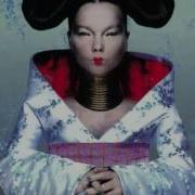 Björk Pluto