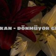 Tarkan Dönmüyor Giden