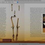 Written In Bone Buried Lives In Jamestown Chapter 7 Part 3