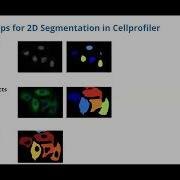 3D Segmentation Using CellProfiler
