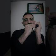 Bilir O Beni Pinhani Mızıka Vahid MOHAMMADI Cover