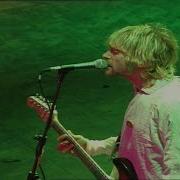 Nirvana On A Plain Live At Reading 1992