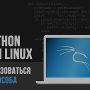Python в Kali Linux 3 способа КАК написать программу