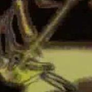 Decontrol Music Video By Drist