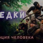 Эволюция Людей и Тупиковые Виды Человека Долгий Путь от Обезьяны до Человека Разумного