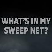 What S In My Sweep Net