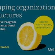 Metaplan Executive Program For Organizational Leadership