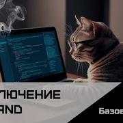 Frontend Базовый React Урок 17 Подключение Zustand