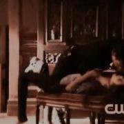 TVD Animals