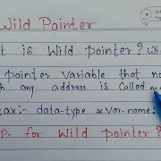 Wild Pointer In C With Example What Is Wild Pointer Learn Coding