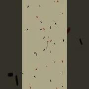 Rocket Trap Day Солдат