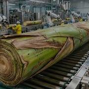 Inside The Largest High Tech Banana Stem Factory You Ve Never Seen Before Full Process
