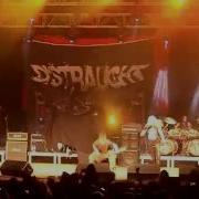 DISTRAUGHT Brazilian Holocaust Live Araujo Viana POA Brazil