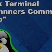 Linux Terminal For Beginners Commands 15 Search And Filter With Grep