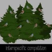 Species Interactions