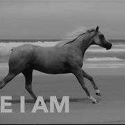 Bryan Adams Here I Am Live In Melbourne Australia