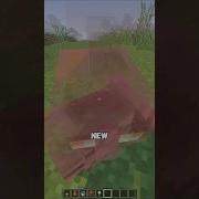You Can See Through Every Mob Now Minecraft