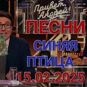 Привет Андрей Выпуск 15 02 2025 Песни ВИА Синяя птица