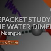 Wavepacket Studies Of The Water Dimer Insights From Exact Quantum Dynamics