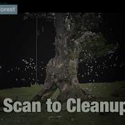 How To Get The Best Results In RealityScan Full Workflow And Export