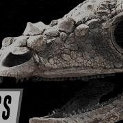 Eptic Jurassic LYRICS