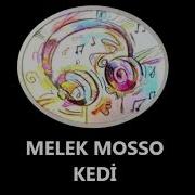 MELEK MOSSO KEDİ