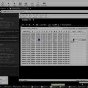 EP 17 Noob To ASM Coder Loops
