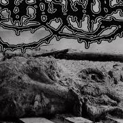 Haggus Mincecore Provocateur Split W Agathocles 2015