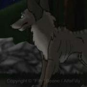 Animation Tests 2