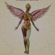 Nirvana Heart Shaped Box